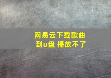 网易云下载歌曲到u盘 播放不了